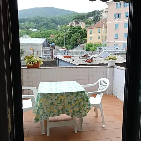 Alchiccodoro